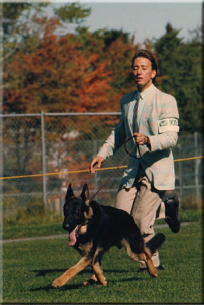 Ari